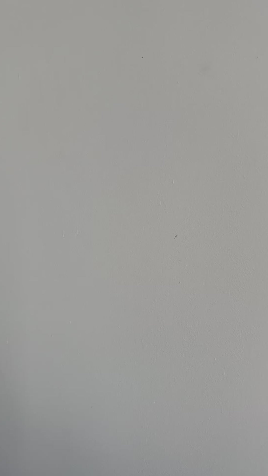 Triclover with leaf dangle