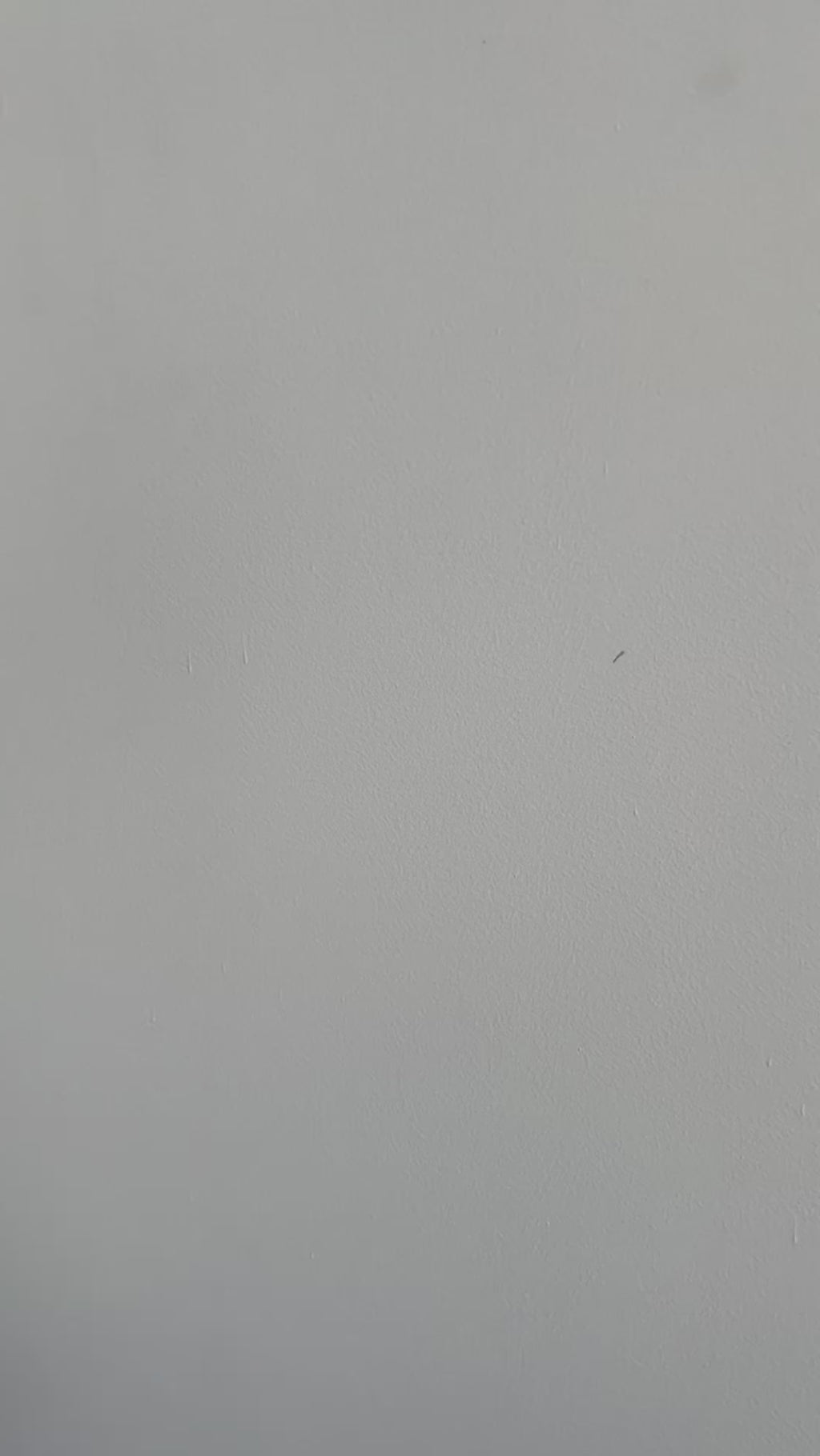 Red Fira Dangling Earrings